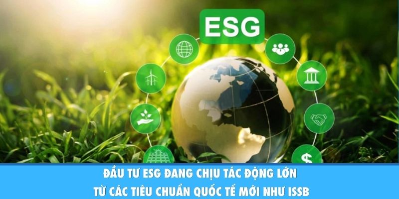 Đầu tư ESG đang chịu tác động lớn từ các tiêu chuẩn quốc tế mới như ISSB