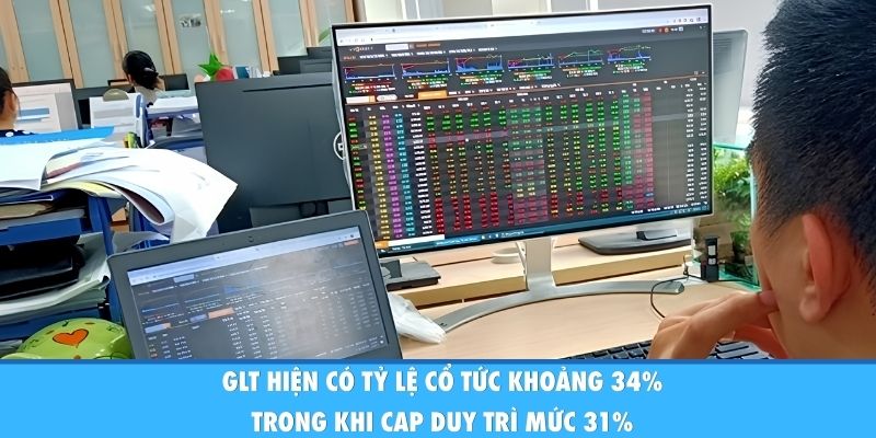 GLT hiện có tỷ lệ cổ tức khoảng 34%, trong khi CAP duy trì mức 31%